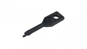 Klucz do blokady gniazda RJ45 WT-BGK