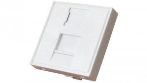 Adapter keystone pojedynczy 2M 45x45 biały Alantec 25.0022