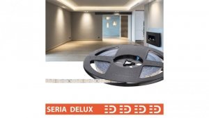 Taśma Delux 24V LB 160led 4000K 450lm SMD2835 (10) PL7Y