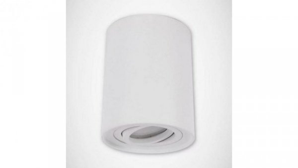 Lampa sufitowa oprawa natynkowa plafon HARY C biały 03711 GU10 STRUHM
