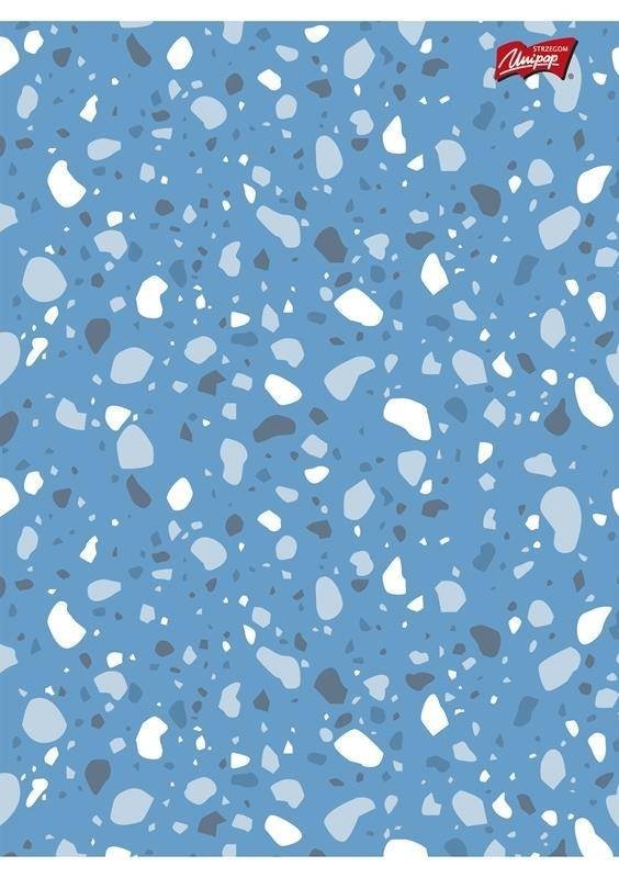 Brulion oprawa twarda A4 96k krata 2426