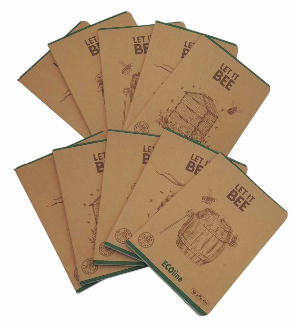 10 x ZESZYT SZKOLNY W KRATKĘ A5 60 KARTEK ECOLINE