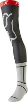 SKARPETY FOX KNEE BRACE LIGHT GREY SKARPETY FOX KNEE BRACE LIGHT GREY