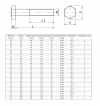 ŚRUBA MASZYNOWA  M 20 X 70  DIN 931 KL 88 OP. 25szt/5,77kg