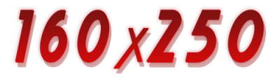 160x250