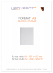 plakat A3,  druk pełnokolorowy jednostronny 4+0, na papierze kredowym 170 g -  250 sztuk 