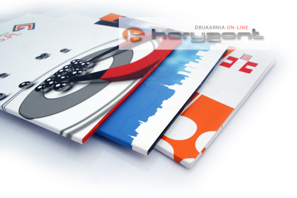 Teczka Standard+ DG10, 539 x 389 mm, grzbiet 10 mm bez folii, - 200 sztuk