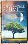 Eric-Emmanuel Schmitt Felix i niewidzialne źródło - okładka