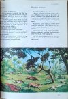 Jospi Krause, Samuel Terrien • Ilustrowana Biblia młodych 