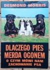 Desmond Morris Dlaczego pies merda ogonem. O czym mówi nam zachowanie psa - okladka
