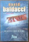 David Baldacci • Miasteczko Divine