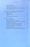 Igor Kliamkin, Lew Timofiejew  Szara strefa w Rosji - spis tresci