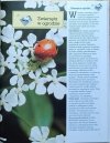 Gabriele Colditz Pożyteczne i szkodliwe. Zwierzęta w ekosystemie ogrodu - fragment