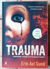 Erik Axl Sund x3 Oblicza Victorii Bergman - Obłęd - Trauma - Katharsis - okładka