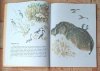 Eugeniusz Czaruszyn  Moja pierwsza zoologia - ilustracja