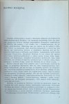 Bachtin. Dialog - język - literatura - słowo wstępne
