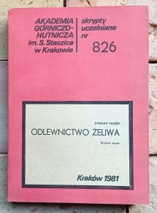 Zygmunt Fałęcki - Odlewnictwo żeliwa