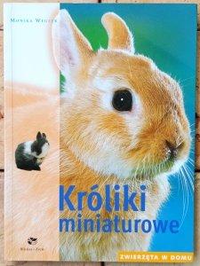Monika Wegler • Króliki miniaturowe
