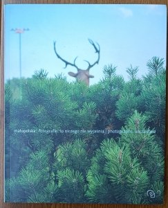 Małopolska / Fotografie. To niczego nie wyjaśnia [album]