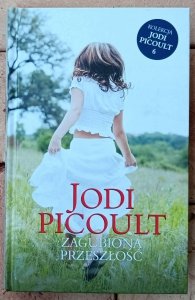 Jodi Picoult • Zagubiona przeszłość