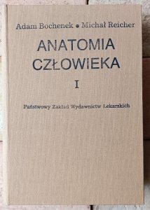 Adam Bochenek • Anatomia człowieka. Tom I