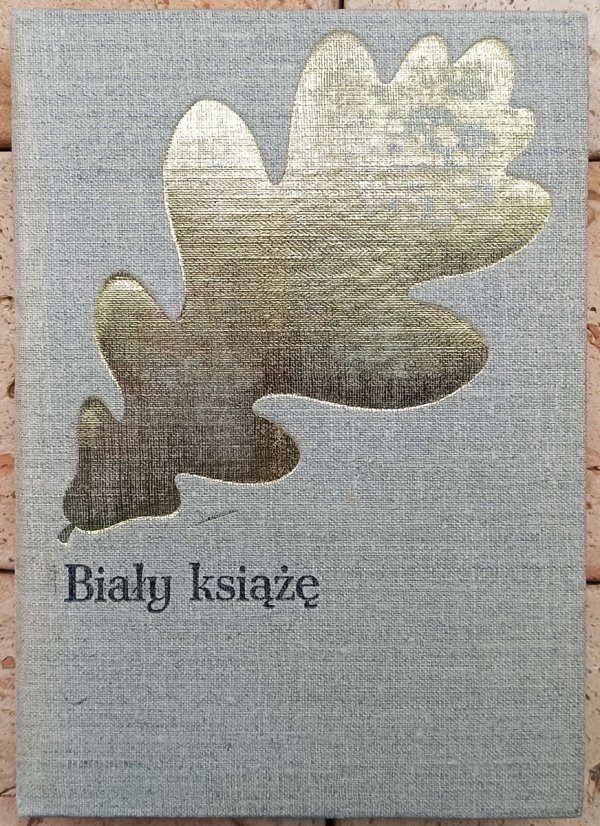 Józef Ignacy Kraszewski Biały książę - okladka
