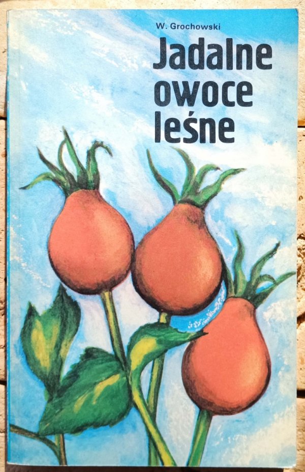 Wiesław Grochowski • Jadalne owoce leśne
