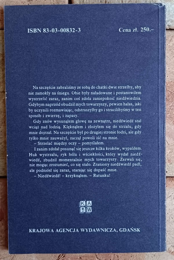 William Kingston • Przygody dzielnego marynarza  - okładka