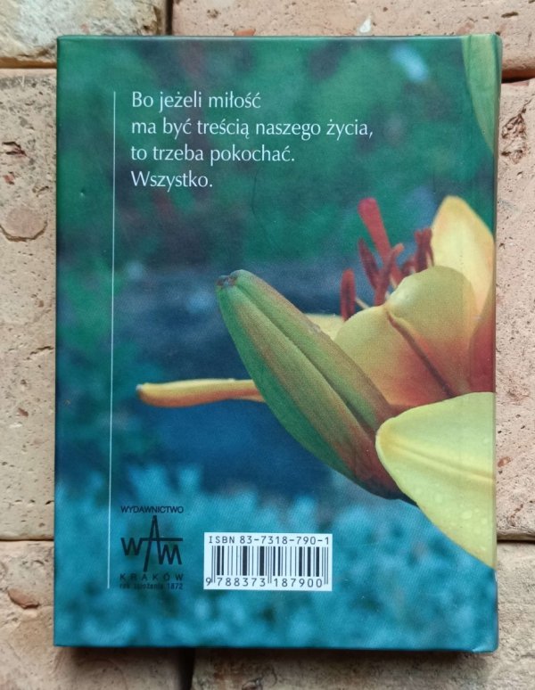 Mieczysław Maliński - Trzeba pokochać