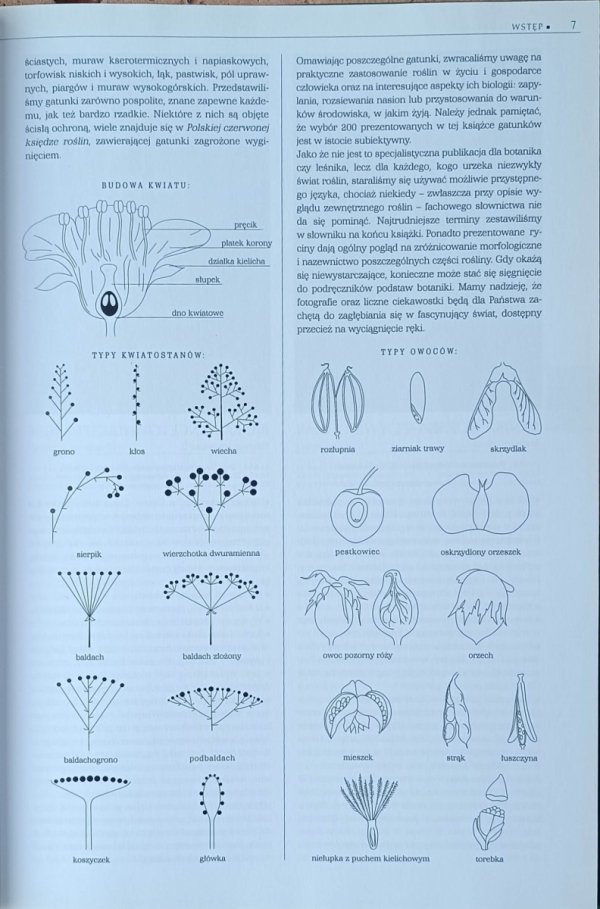 Renata Kosińska, Marek Kosiński  Rośliny Polski | Ilustrowana encyklopedia od A do Z - fragment