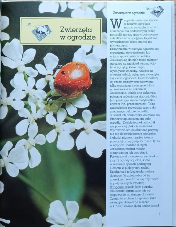 Gabriele Colditz Pożyteczne i szkodliwe. Zwierzęta w ekosystemie ogrodu - fragment