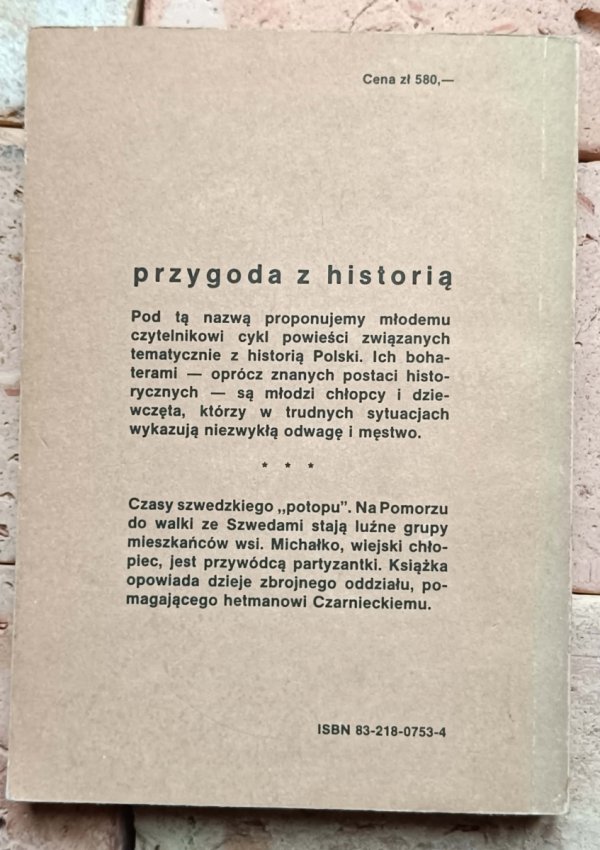 Karol Koźmiński - Rotmistrz Michałko  - okładka