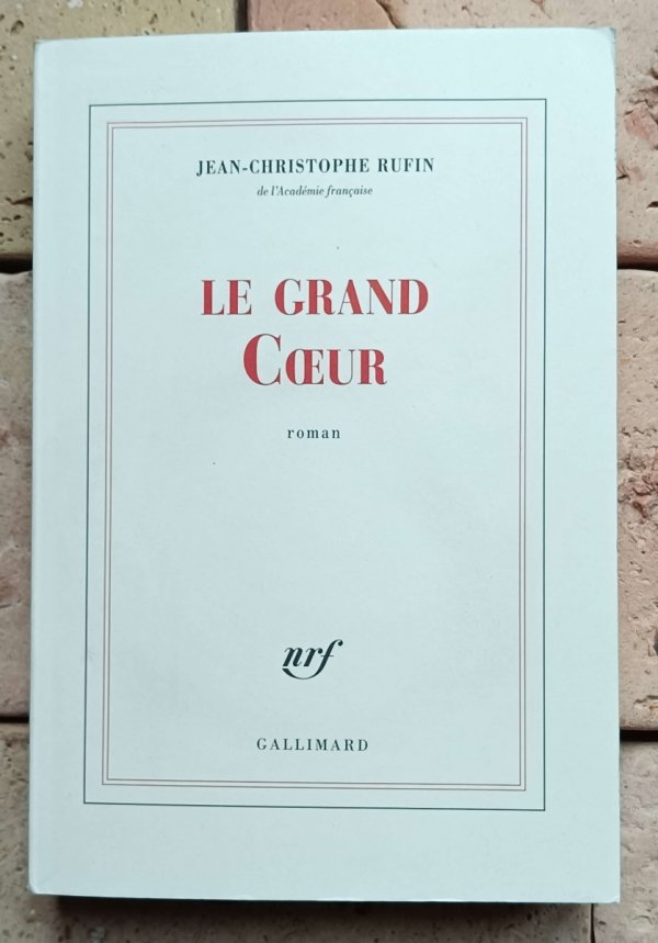 Jean-Christophe Rufin - Le grand Coeur