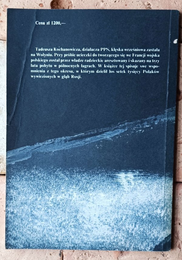 Tadeusz Kochanowicz - W Komi i gdzie indziej. Wspomnienia z pobytu w ZSRR (1939-1942) - okładka