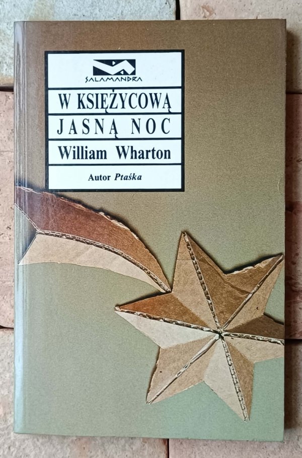 William Wharton • W księżycową jasną noc - okładka