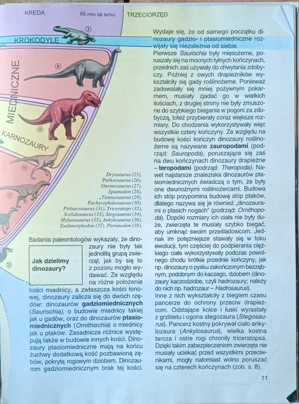 Joachim Oppermann • Dinozaury [Co i Jak tom 31] - fragment