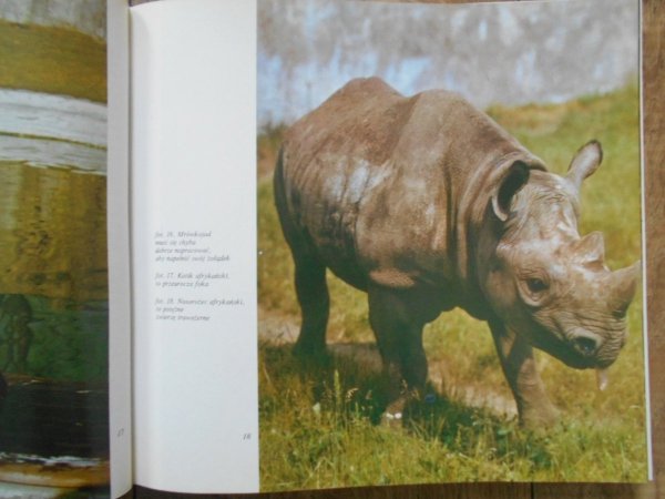 Antoni Gucwiński, Władysław Strojny  Znajomi z ZOO - ilustracja