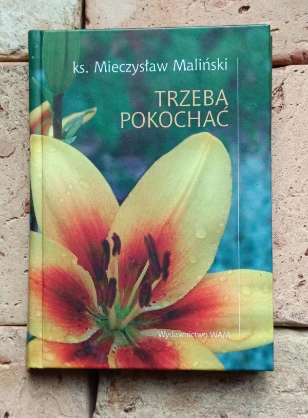 Mieczysław Maliński - Trzeba pokochać