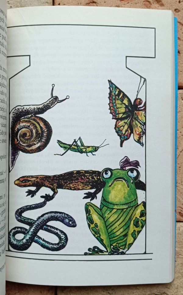 |Waldemar  Bonsels - Boży Ludek - grafika