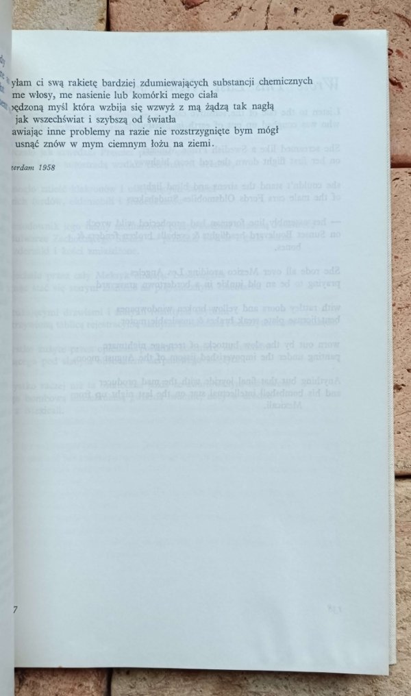 Wizjonerzy i buntownicy Wiersze współczesnych poetów amerykańskich