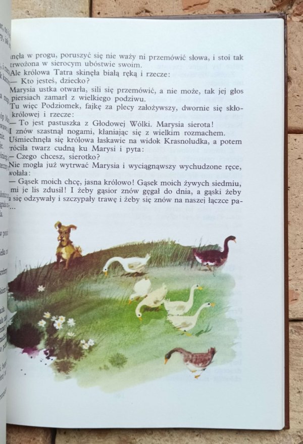 Maria Konopnicka - O krasnoludkach i o sierotce Marysi