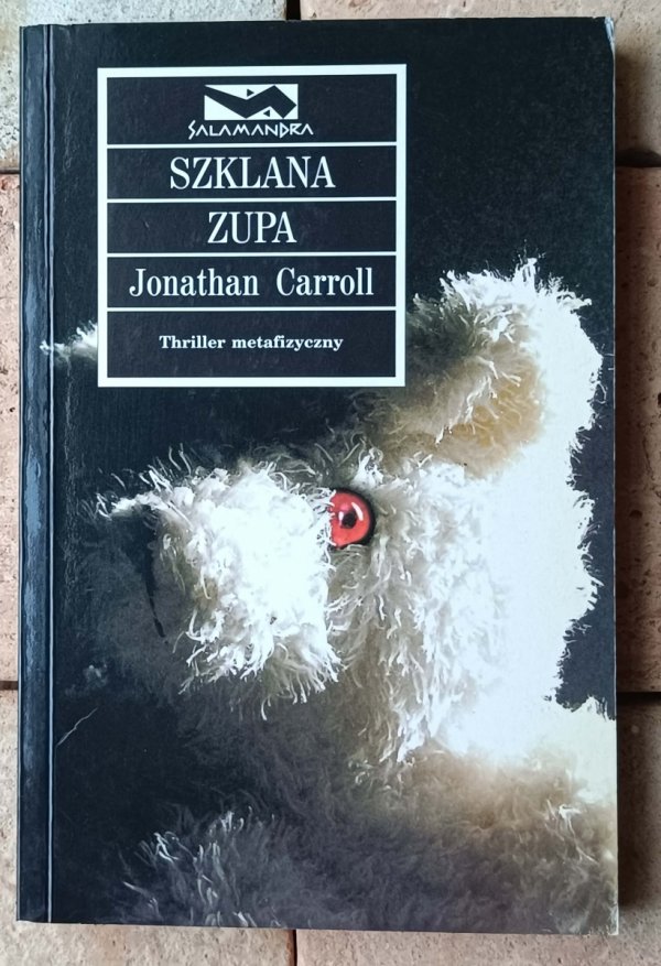 Jonathan Carroll • Szklana zupa - okładka