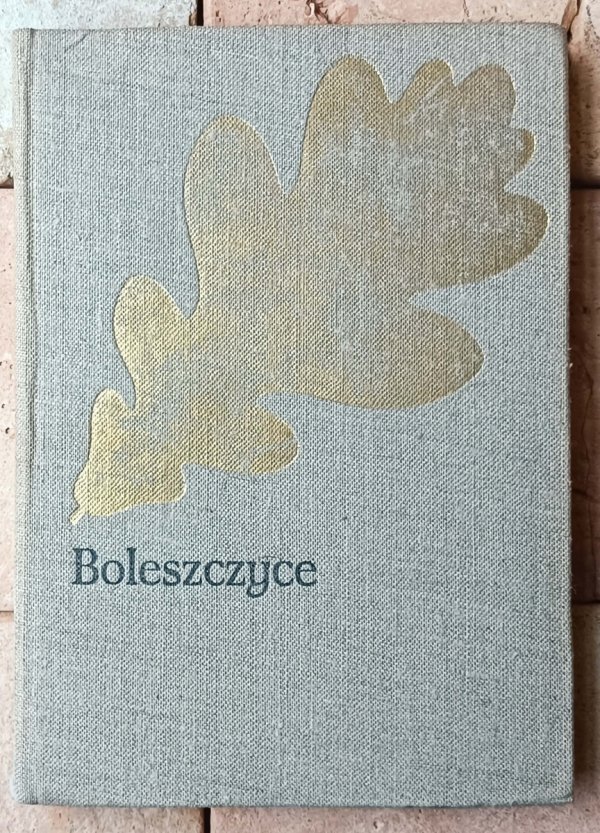 Józef Ignacy Kraszewski x10 • Matka królów -  Infantka - Stach z Konar i inne - okładka