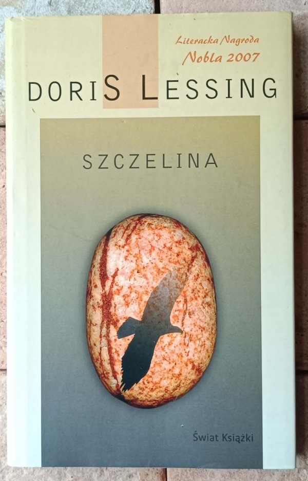 Doris Lessing x5  Szczelina - Pamiętnik przetrwania - Mara i Dann i inne - okładka