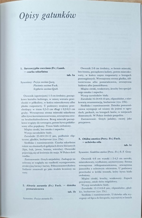 Aurel Dermek  Poznajemy grzyby -  fragment