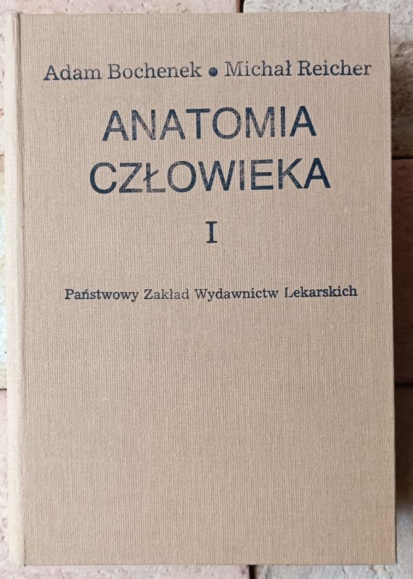 Adam Bochenek • Anatomia człowieka. Tom I - okładka