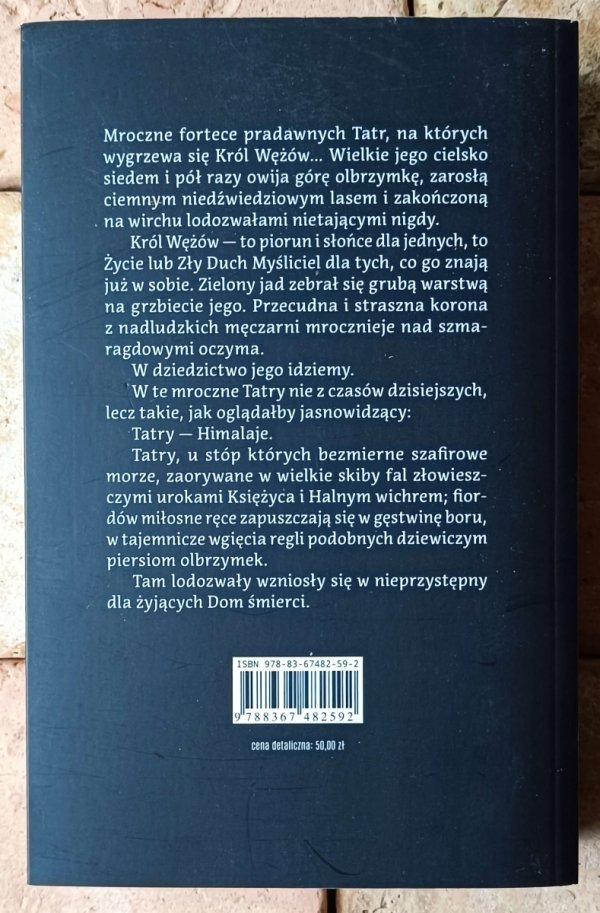 Tadeusz Miciński • Nietota. Księga Tajemna Tatr - okładka