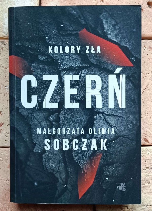  Małgorzata Oliwia Sobczak - Cykl Kolory zła - Czerń  - okładka
