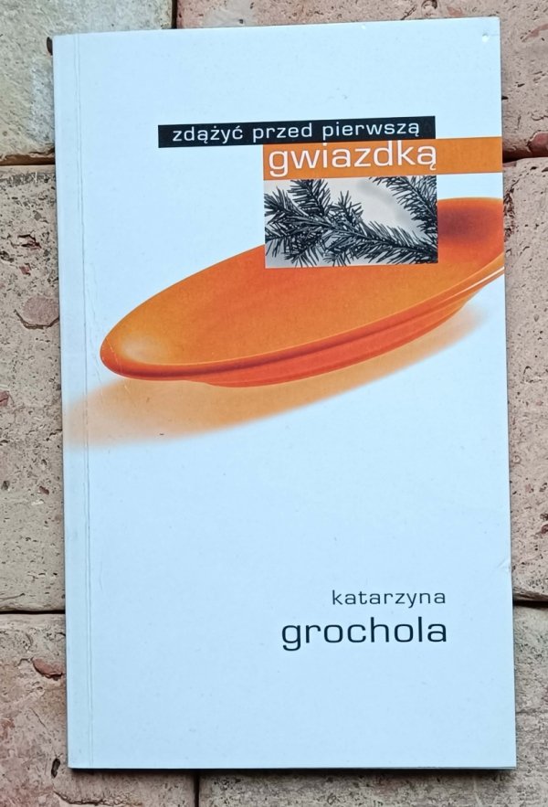 Katarzyna Grochola x9 - Przeznaczeni Zielone drzwi i inne | komplet