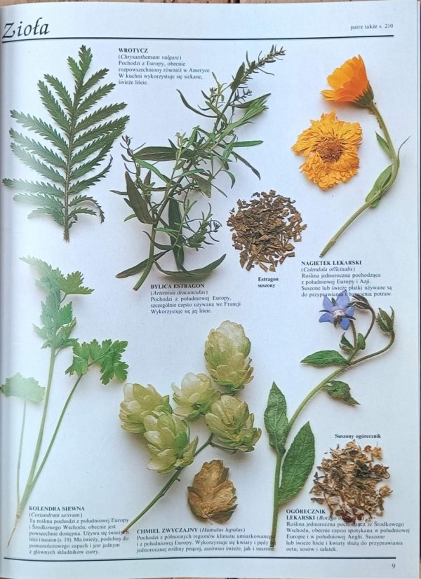 Philip Dowell Wielka księga ingrediencji - fragment